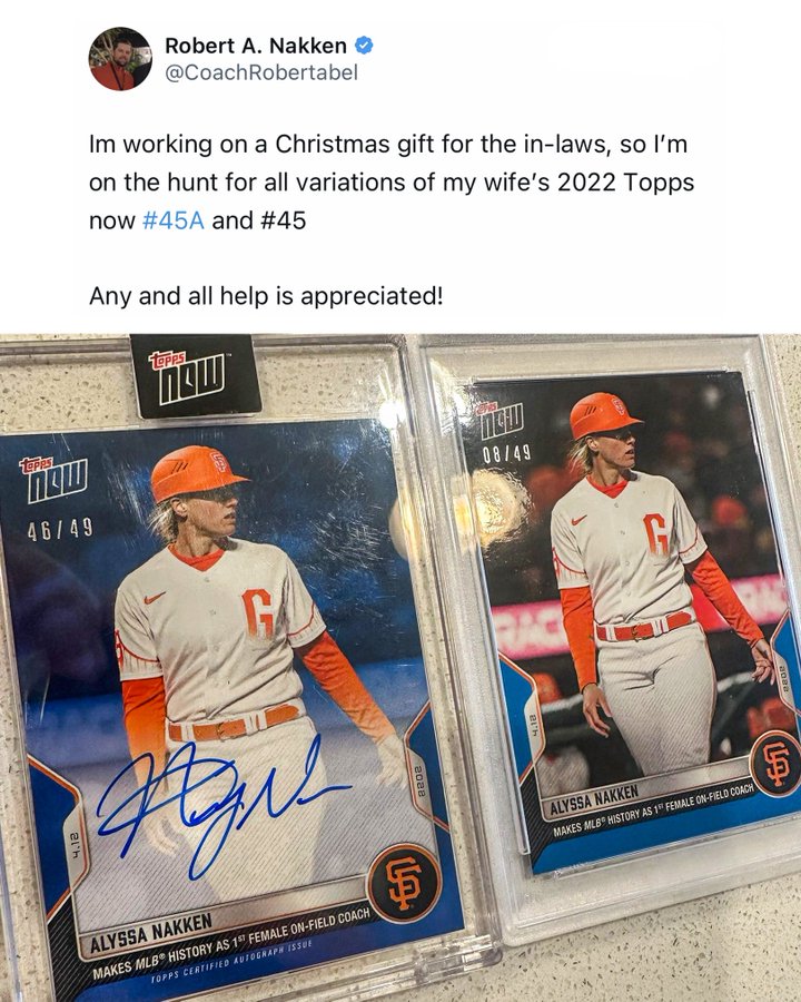 Husband’s Unique Hobby Turns Wife’s MLB Milestone into Cherished Quest